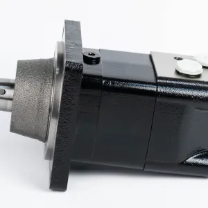 Купити Героторний гідромотор Mozioni BM3WY-315ZAY/T11, фото 5