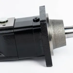 Купити Героторний гідромотор Mozioni BM3WY-315ZAY/T11, фото 3