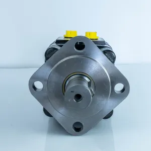 Купити Героторний гідромотор Mozioni BM3Y-200P10AY/T11, фото 4