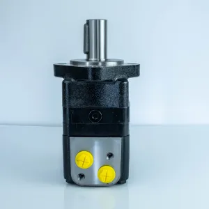 Купити Героторний гідромотор Mozioni BM3Y-200P10AY/T11, фото 1