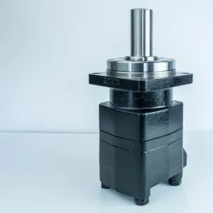 Купити Героторний гідромотор Mozioni BM4U-315P33A4Y/T7, фото 5