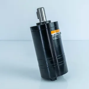 Купити Героторний гідромотор Mozioni BMM-20P1CY1, фото 4