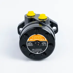 Купити Героторний гідромотор Mozioni BMR-125P41AIIY10/T10, фото 4