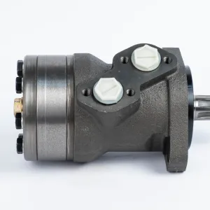 Купити Героторний гідромотор Mozioni BMR-160H2AIIY10/T7, фото 5