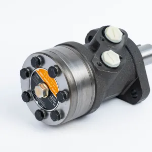 Купити Героторный гидромотор Mozioni BMR-160P52AIIY10/T10, фото 3