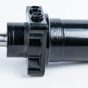 Купити Героторный гидромотор M+S Hydraulic RW400CBMPC/3, фото 3