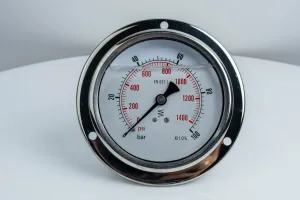 100F160.MGE GLYC.P.G.SS CASE D:100 0/160 BAR+PSI 1/2" BSPP BACK+FLANGE