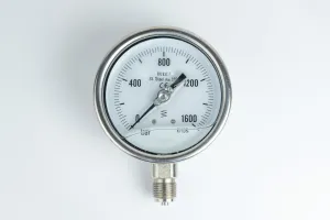 100R1600.303 GLYC.S.ST.P.G. D: 100 1600 BAR ONLY 1/2"BSPP BOTTOM