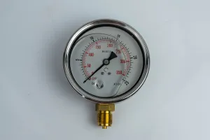 100R25.MGE GLYC.P.G.SS. CASE D:100 0/25 BAR+PSI 1/2"BSPP BOTTOM