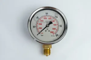 100R600.MGE GLYC.P.G.SS. CASE D:100 0/600 BAR+PSI 1/2"BSPP BOTTOM