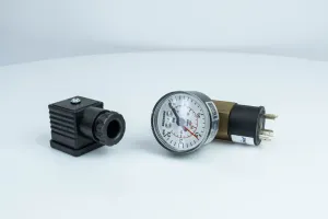 DSM Y A4 DAC 001,3Y