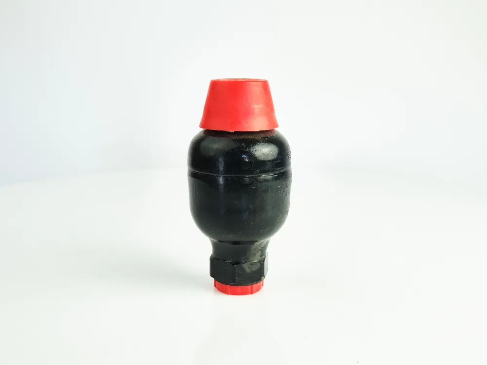 Купити Гідроакумулятор WA.2.0,05.1.O.G4.A.250 Saip, фото 5