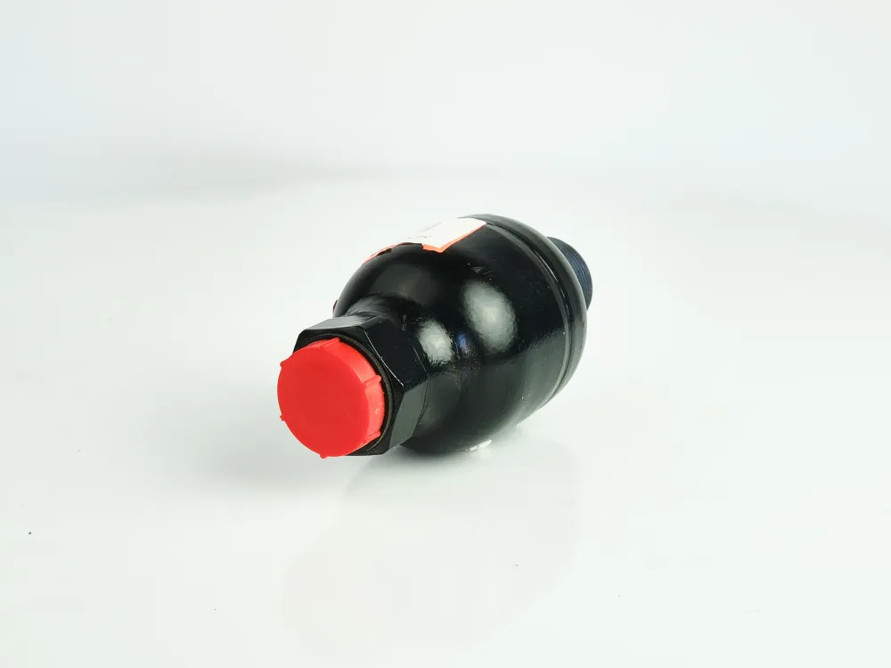 Купити Гідроакумулятор WA.2.0,05.1.O.G4.A.250 Saip, фото 3