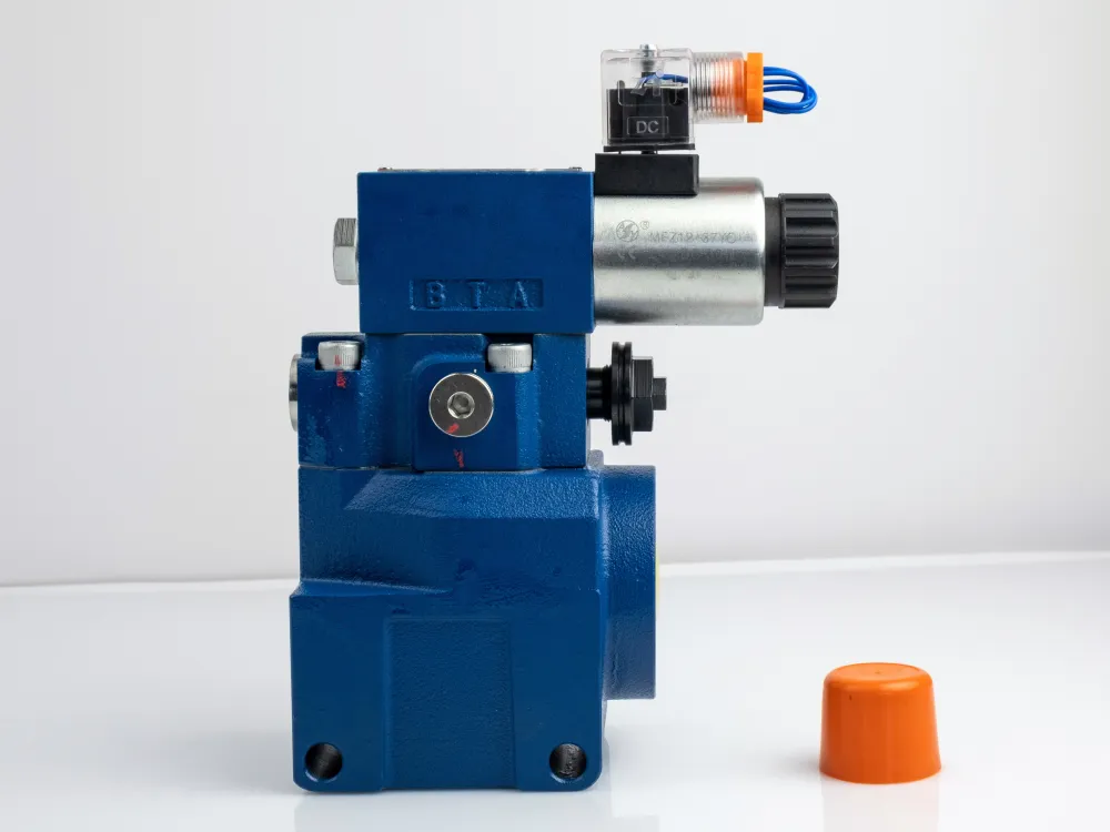 DBW10BG2-50-50G24N9Z5L купить