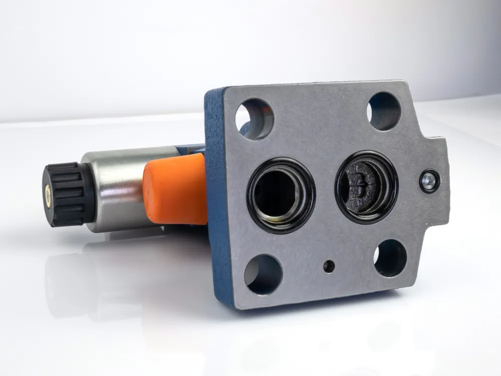 DBW20B2-50-100G24N5ZL заказать