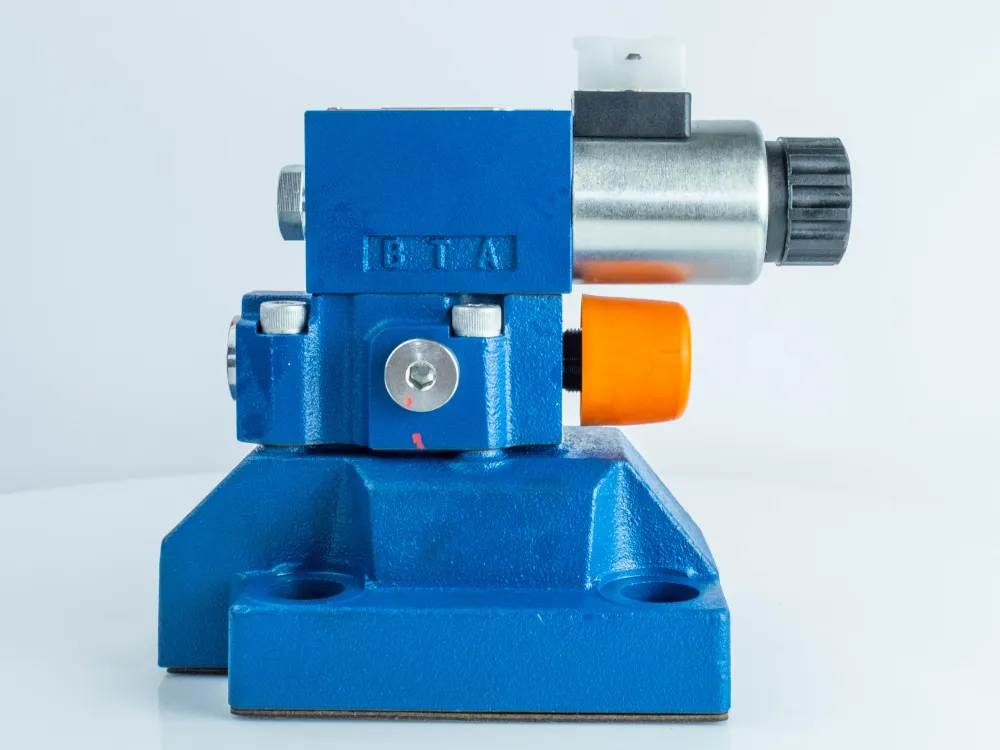 DBW30B2-50-100G24N5ZL заказать