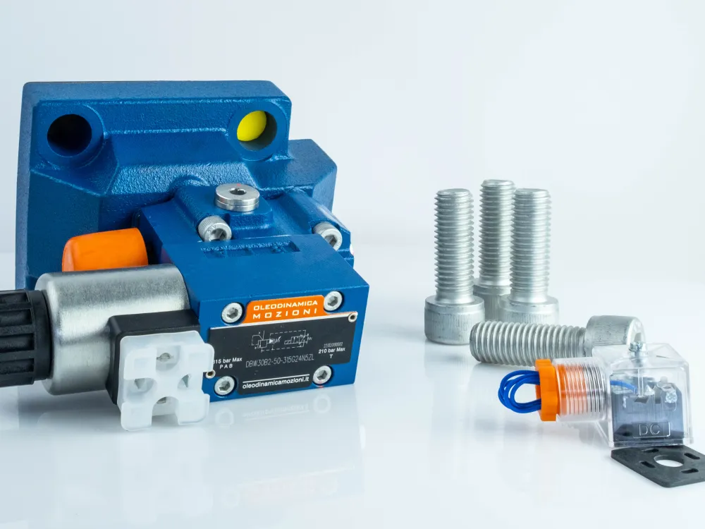 DBW30B2-50-200G24N5ZL купить