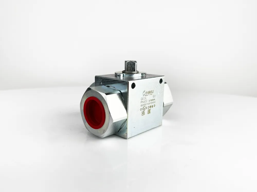 GE3L G1 DN25 1111AB PN420 (GE3GGT53011A000)