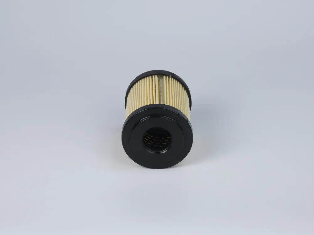 8MF1001P25NBP01