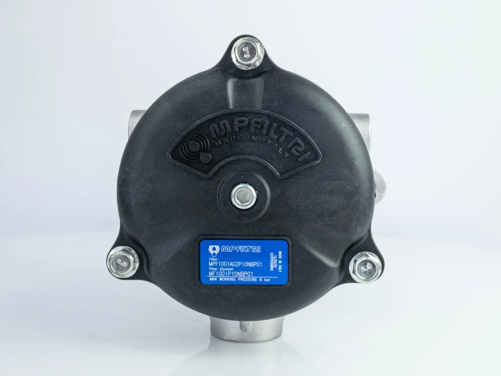 MPF1001AG2P10NBP01 замовити