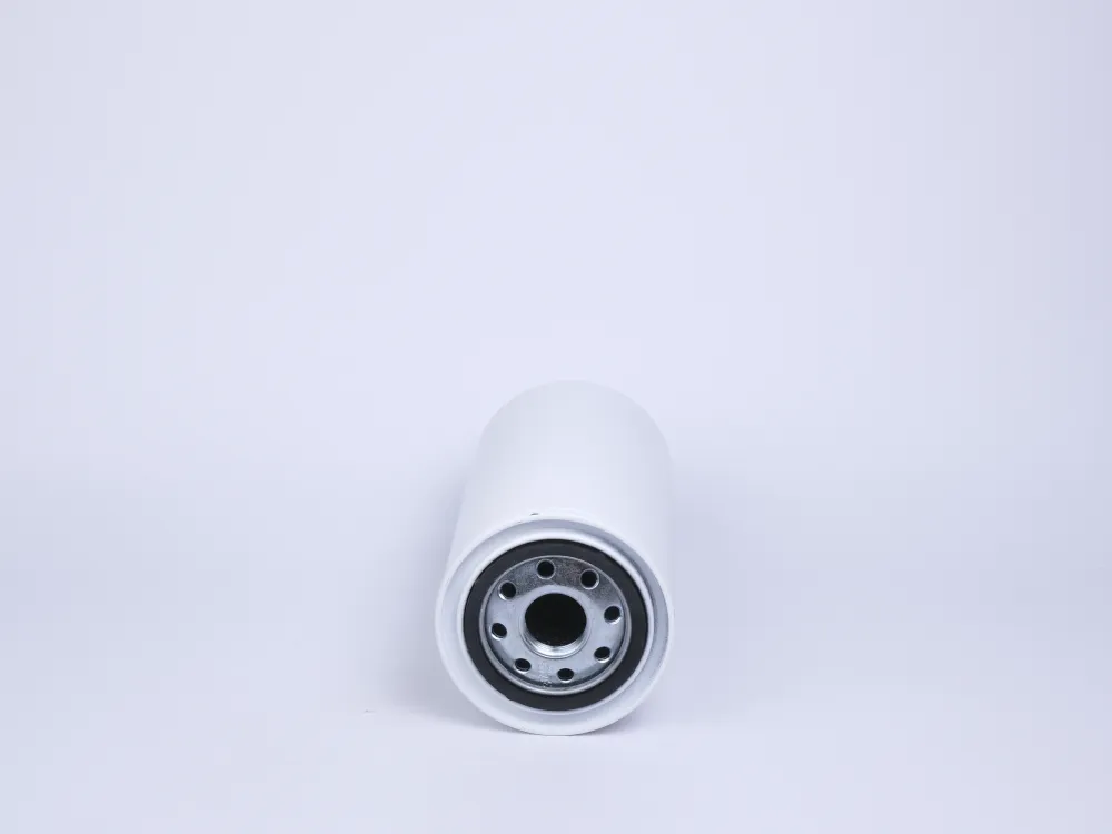 HS00019