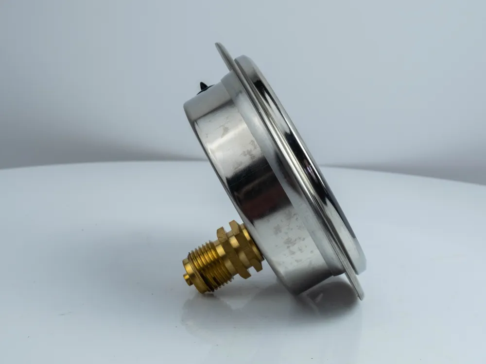 100F160.MGE GLYC.P.G.SS CASE D:100 0/160 BAR+PSI 1/2" BSPP BACK+FLANGE