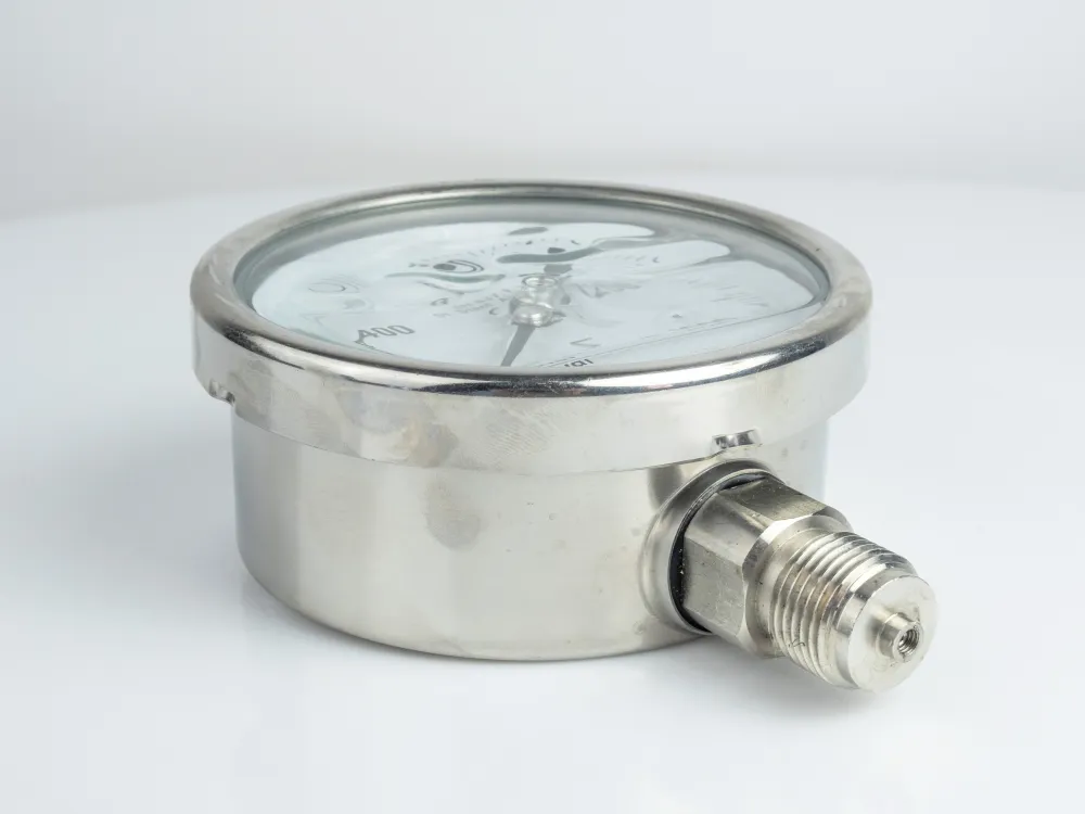 100R1600.303 GLYC.S.ST.P.G. D: 100 1600 BAR ONLY 1/2"BSPP BOTTOM