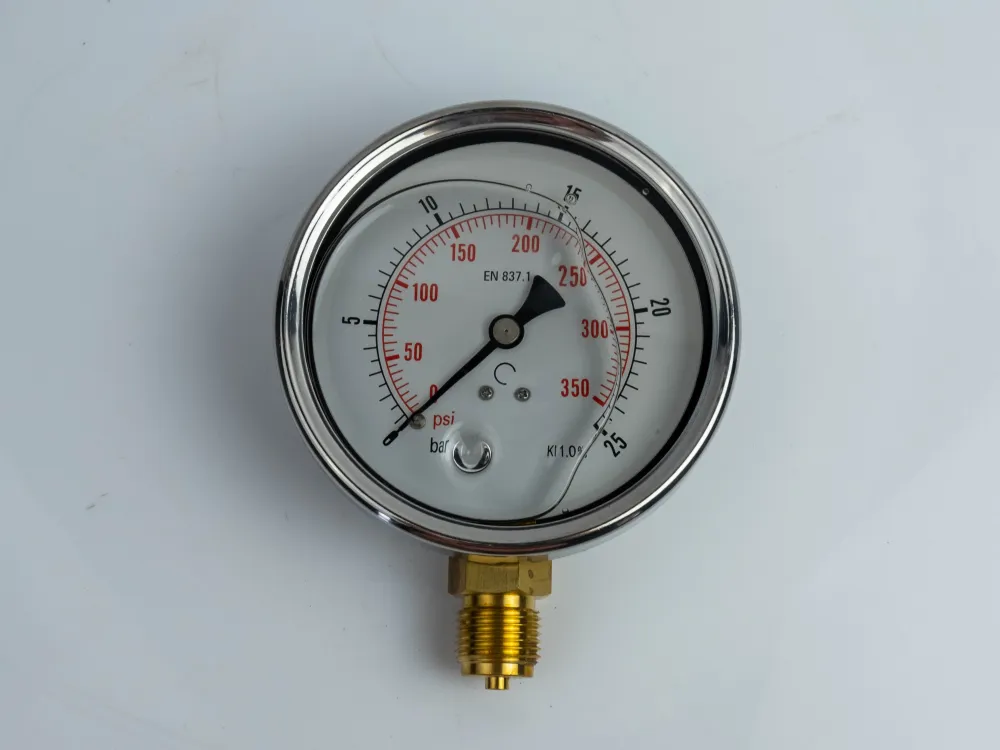 100R25.MGE GLYC.P.G.SS. CASE D:100 0/25 BAR+PSI 1/2"BSPP BOTTOM