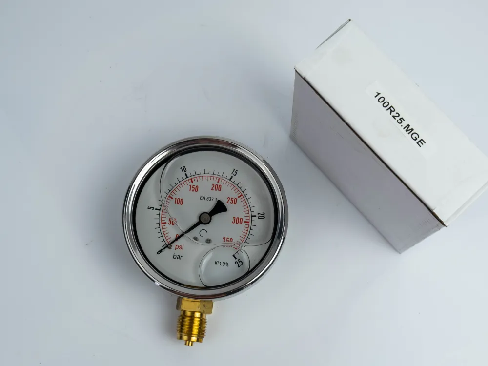100R25.MGE GLYC.P.G.SS. CASE D:100 0/25 BAR+PSI 1/2"BSPP BOTTOM