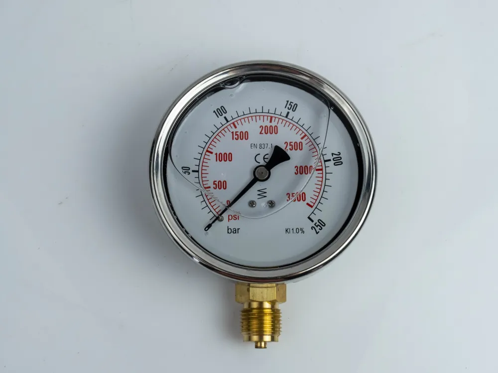100R250.MGE GLYC.P.G.SS. CASE D:100 0/250 BAR+PSI 1/2"BSPP BOTTOM
