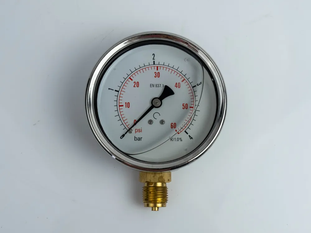 100R4.MGE GLYC.P.G.SS CASE D:100 0/4 BAR+PSI 1/2"BSPP BOTTOM
