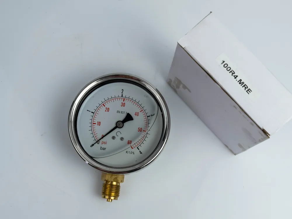 100R4.MGE GLYC.P.G.SS CASE D:100 0/4 BAR+PSI 1/2"BSPP BOTTOM