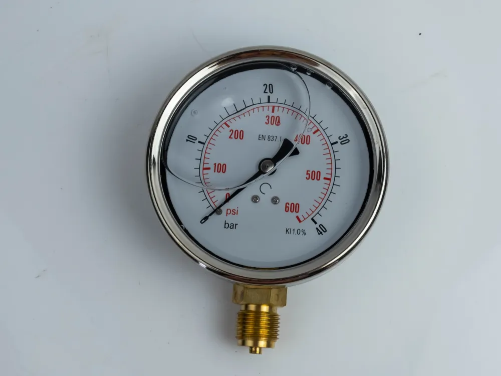 100R40.MGE GLYC.P.G.SS CASE D:100 0/40 BAR+PSI 1/2"BSPP BOTTOM