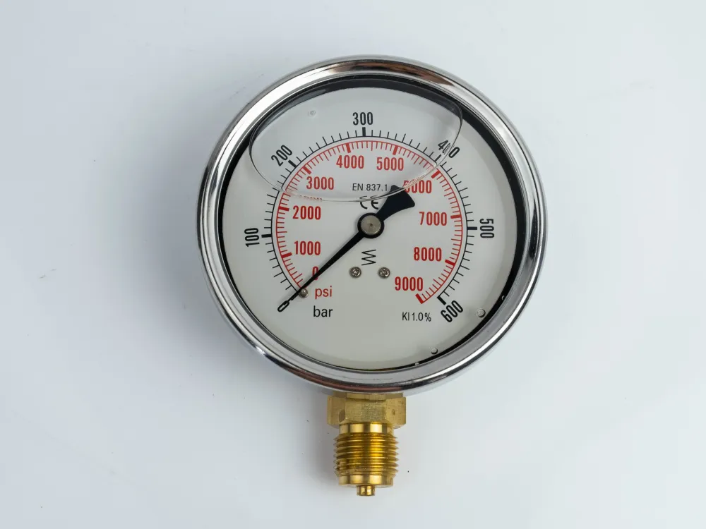 100R600.MGE GLYC.P.G.SS. CASE D:100 0/600 BAR+PSI 1/2"BSPP BOTTOM