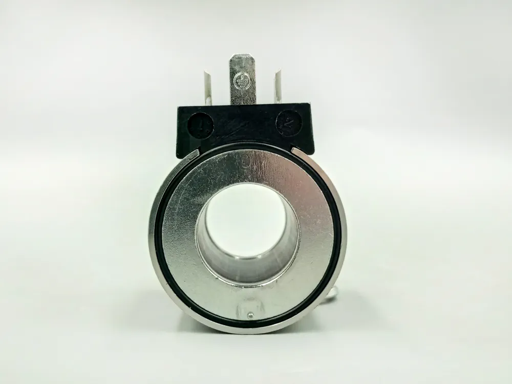 Coil (4WE6/220V) - round замовити