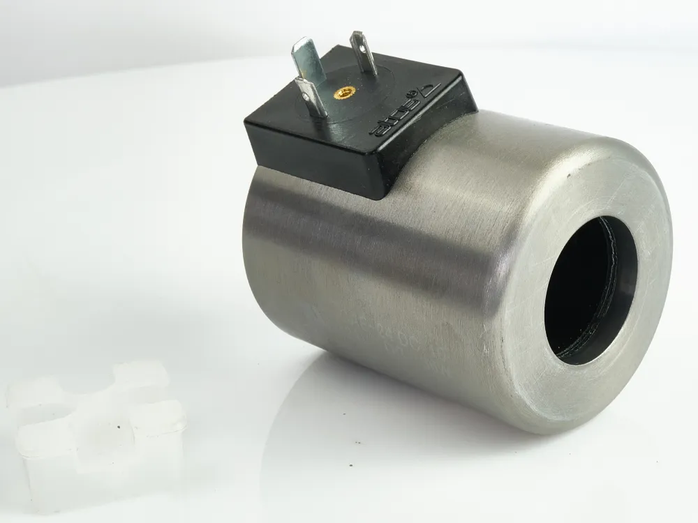 CAE-24DC S.20 - COIL замовити