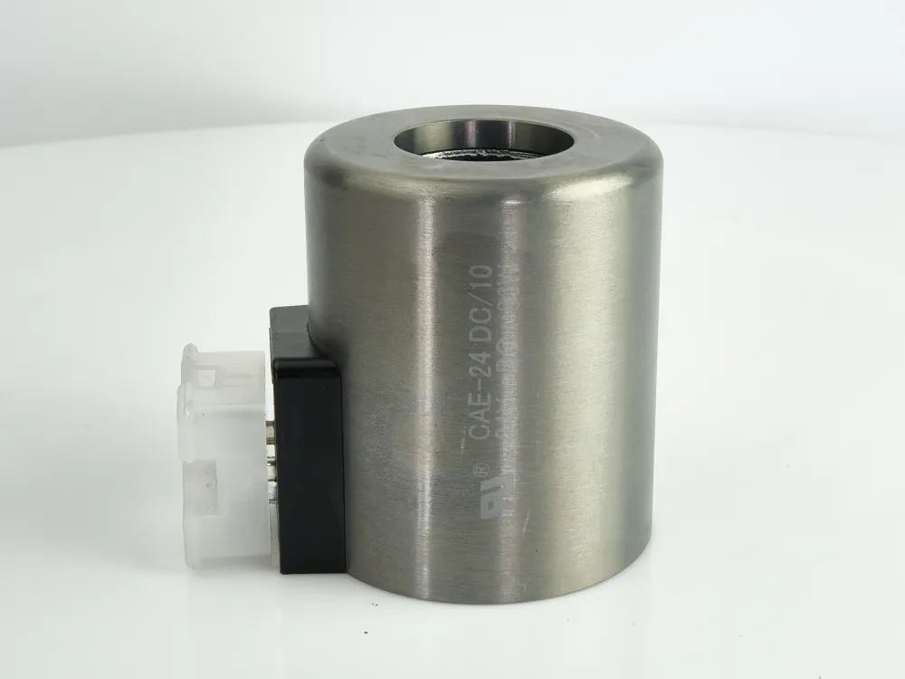 CAE-24DC S.20 - COIL