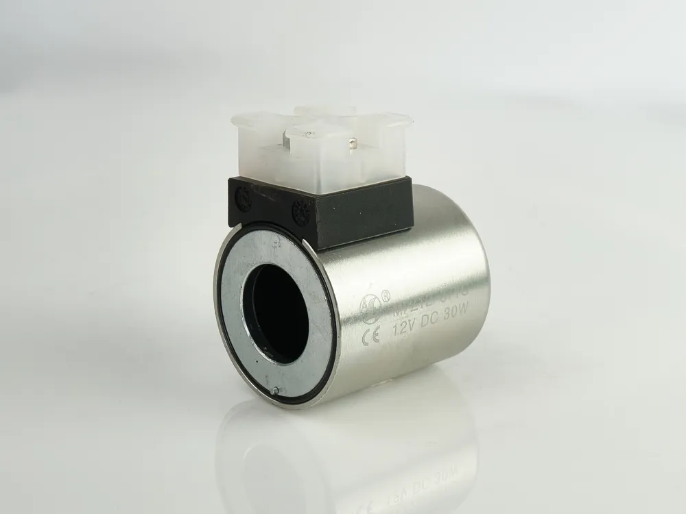 Coil (4WE6/12V)