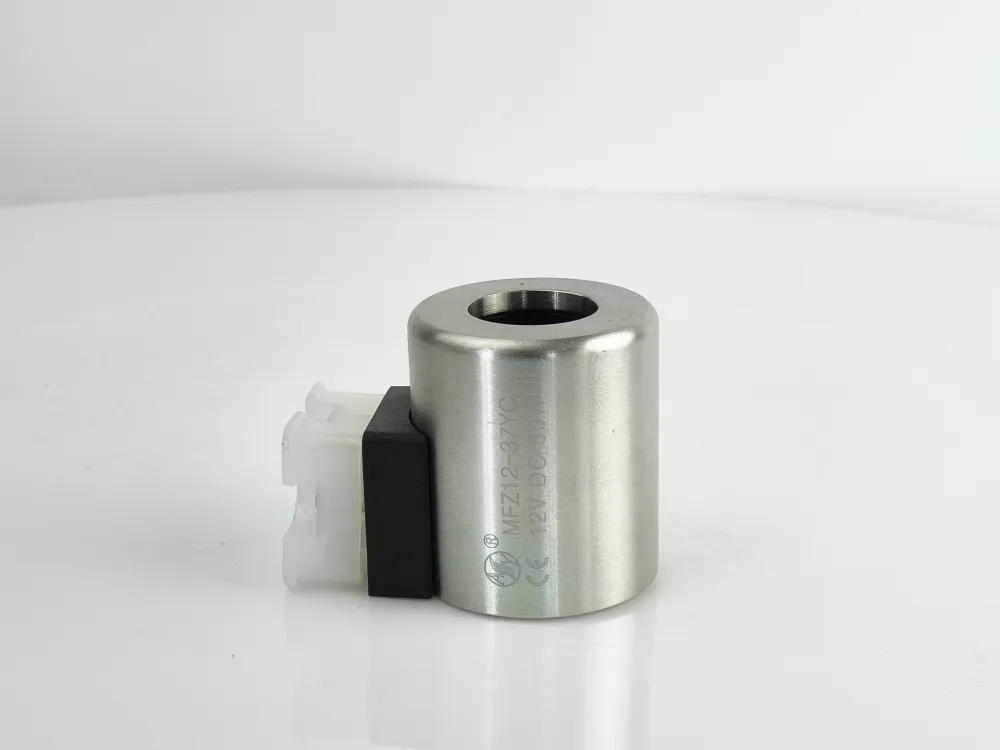 Coil (4WE6/12V)