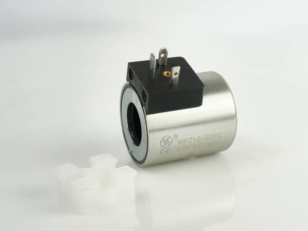 Coil (4WE6/12V) замовити