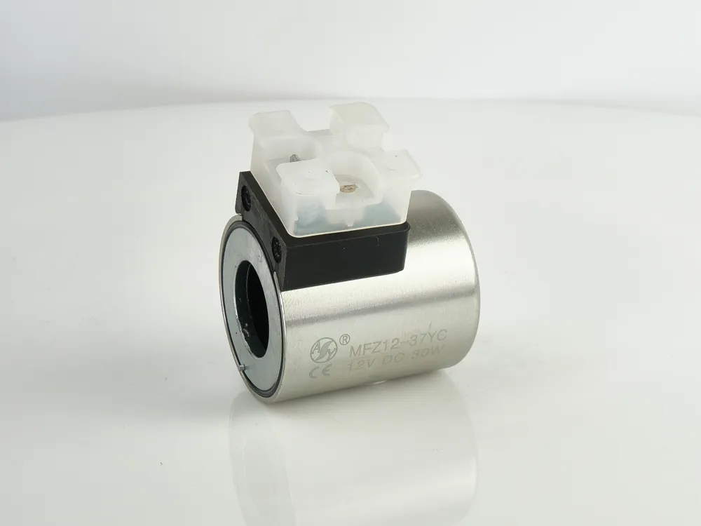 Coil (4WE6/12V)