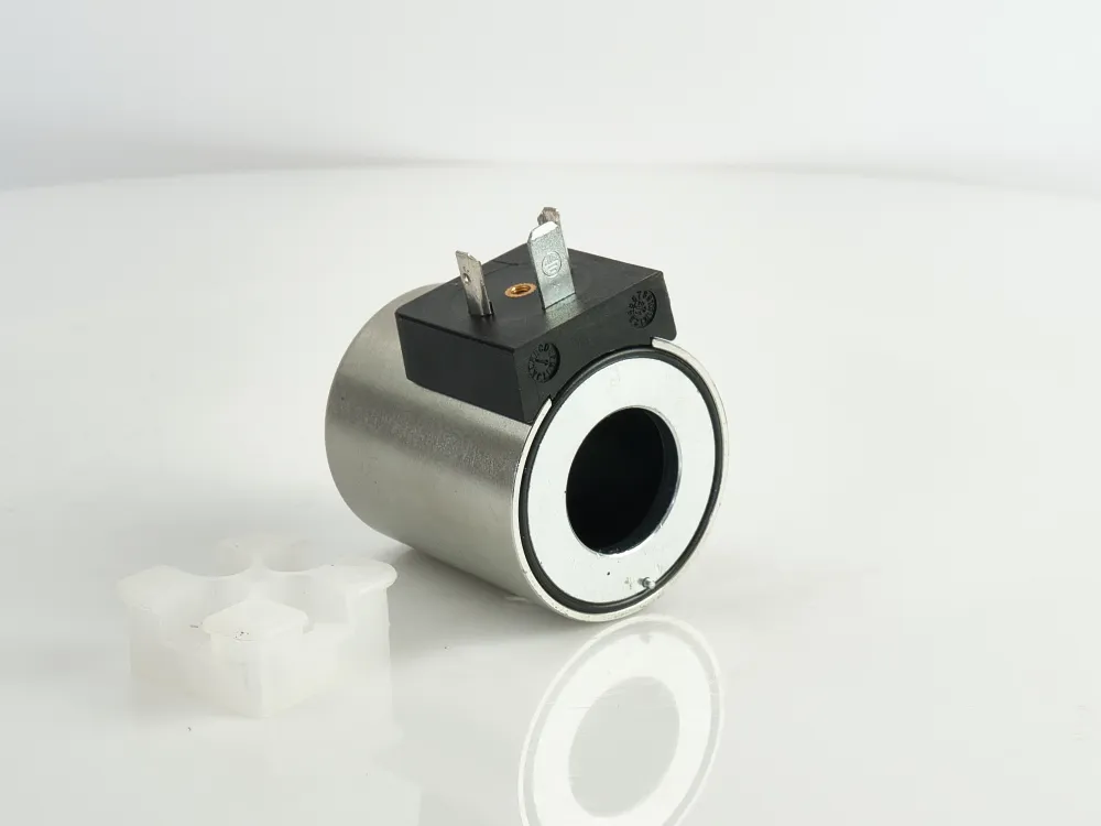 Coil (4WE6/12V)