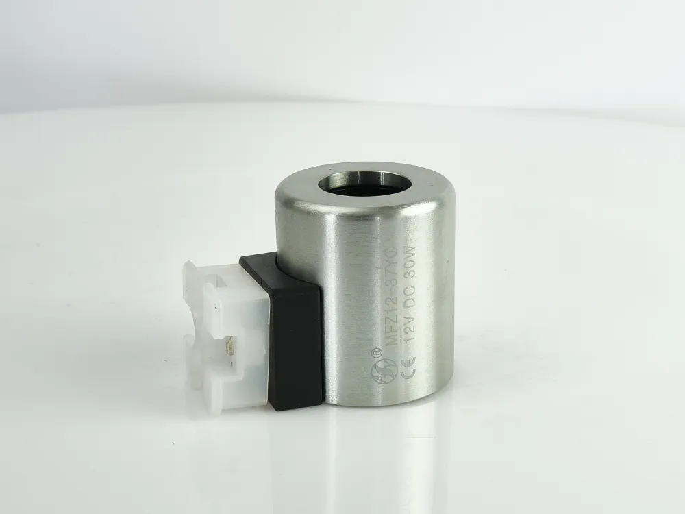 Coil (4WE6/12V)