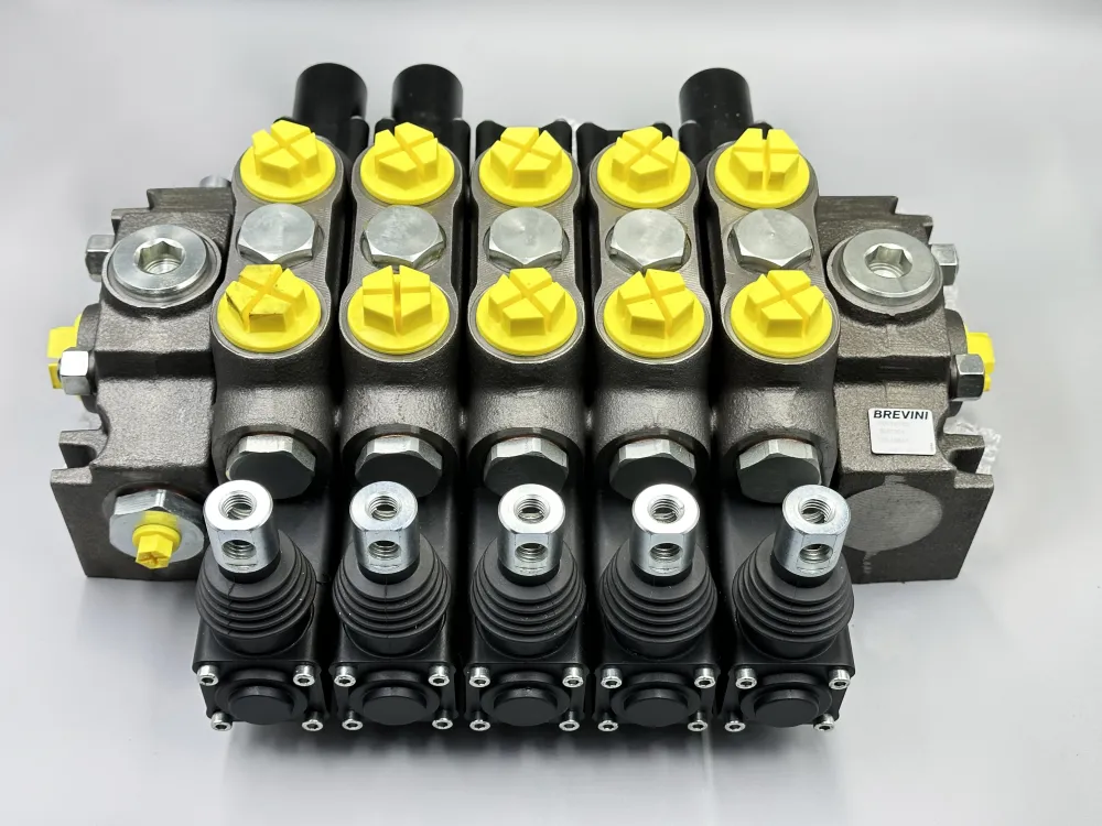 замовити Гідророзподілювач DCV-MG/5 (B0028740)