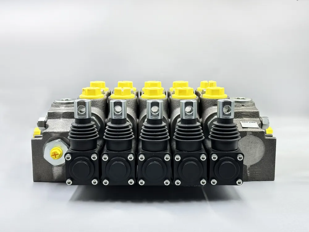 купити Гідророзподілювач DCV-MG/5 (B0028740)