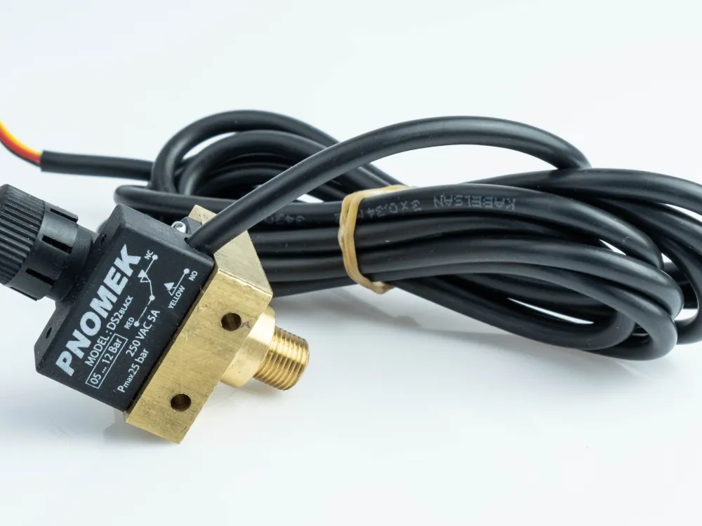 DS2 A4 012