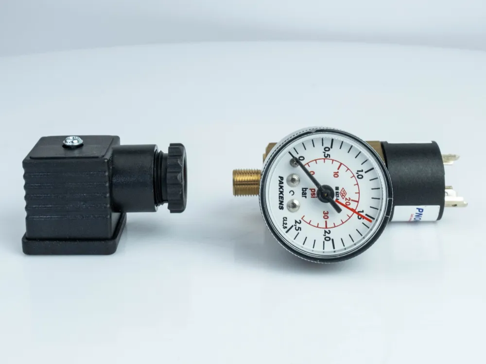 DSM Y A4 DAC 001,3Y