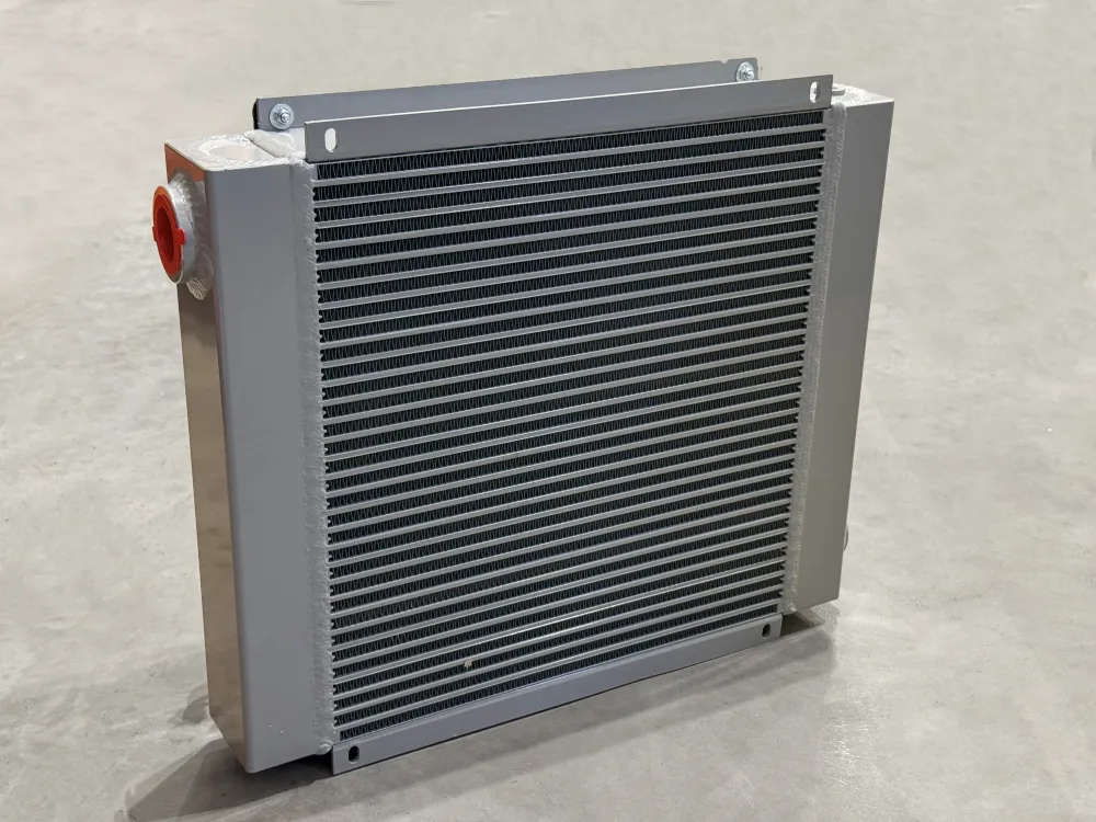 2MS512001 (S5 - 12V)