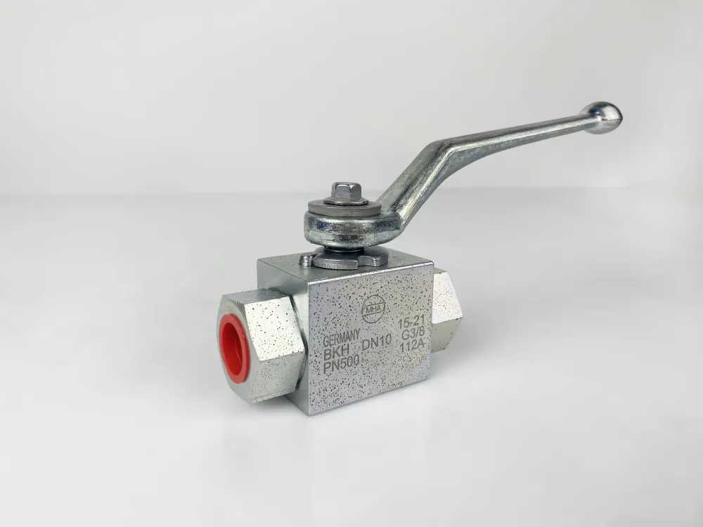 BKH-DN10-12L-112A-Zn