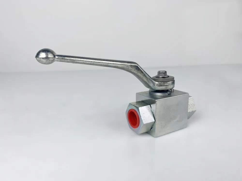 BKH-DN10-12L-112A-Zn